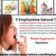 Illustration for article titled 5 Home Remedies for Emphysema Natural Treatment
